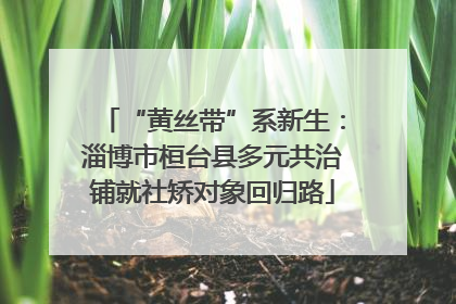 “黄丝带”系新生：淄博市桓台县多元共治铺就社矫对象回归路