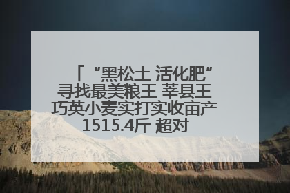“黑松土 活化肥”寻找最美粮王 莘县王巧英小麦实打实收亩产1515.4斤 超对照田144斤！