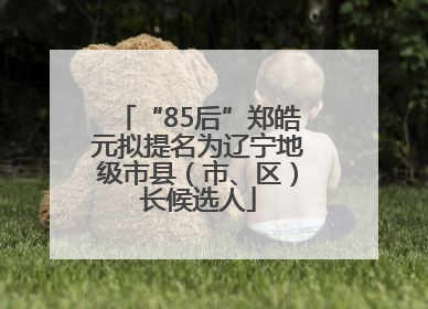 “85后”郑皓元拟提名为辽宁地级市县（市、区）长候选人