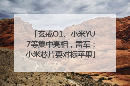 玄戒O1、小米YU7等集中亮相，雷军：小米芯片要对标苹果