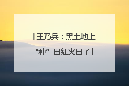 王乃兵：黑土地上“种”出红火日子