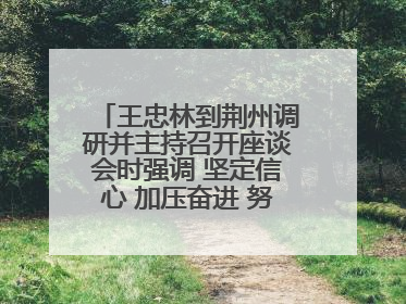 王忠林到荆州调研并主持召开座谈会时强调 坚定信心 加压奋进 努力当好江汉平原高质量发展排头兵