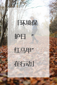 环境保护日 “红马甲”在行动