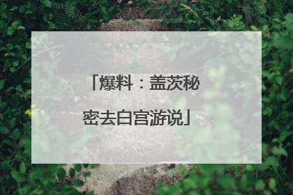 爆料：盖茨秘密去白宫游说