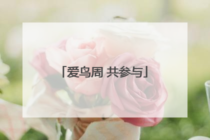 爱鸟周 共参与