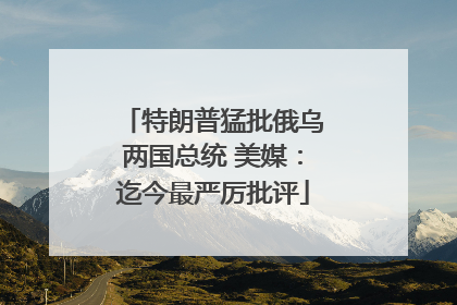 特朗普猛批俄乌两国总统 美媒：迄今最严厉批评