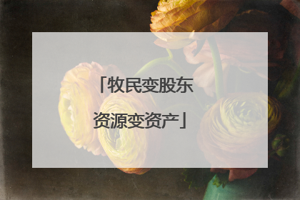 牧民变股东 资源变资产