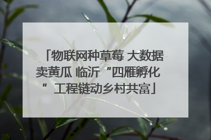 物联网种草莓 大数据卖黄瓜 临沂“四雁孵化”工程链动乡村共富