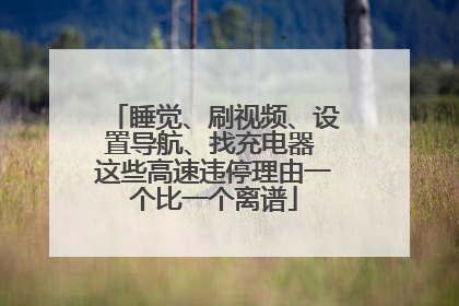 睡觉、刷视频、设置导航、找充电器 这些高速违停理由一个比一个离谱