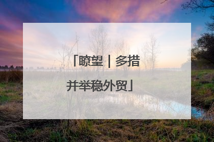 瞭望｜多措并举稳外贸