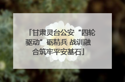 甘肃灵台公安“四轮驱动”砺精兵 战训融合筑牢平安基石