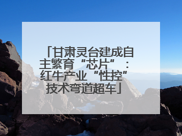 甘肃灵台建成自主繁育“芯片”：红牛产业“性控”技术弯道超车
