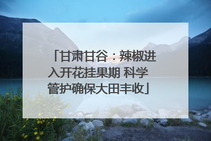 甘肃甘谷：辣椒进入开花挂果期 科学管护确保大田丰收