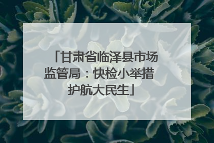 甘肃省临泽县市场监管局：快检小举措 护航大民生