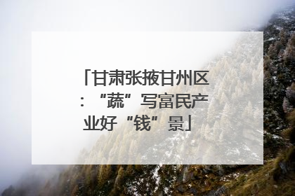 甘肃张掖甘州区：“蔬”写富民产业好“钱”景