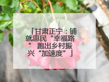 甘肃正宁：铺就惠民“幸福路” 跑出乡村振兴“加速度”