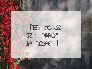 甘肃民乐公安：“警心”护“企兴”