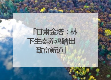 甘肃金塔：林下生态养鸡踏出致富新道
