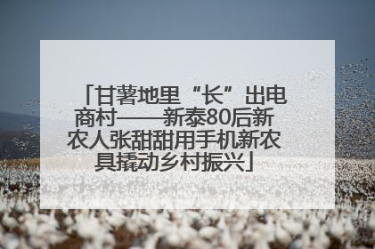 甘薯地里“长”出电商村——新泰80后新农人张甜甜用手机新农具撬动乡村振兴