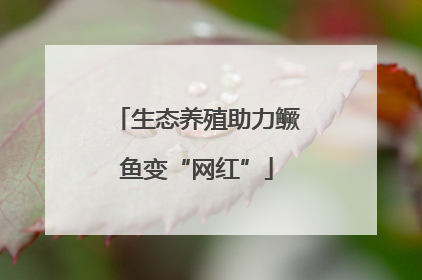 生态养殖助力鳜鱼变“网红”