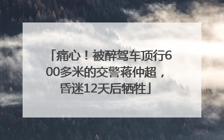 痛心！被醉驾车顶行600多米的交警蒋仲超，昏迷12天后牺牲
