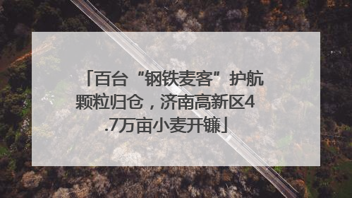 百台“钢铁麦客”护航颗粒归仓，济南高新区4.7万亩小麦开镰