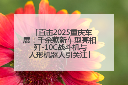 直击2025重庆车展：千余款新车型亮相 歼-10C战斗机与人形机器人引关注