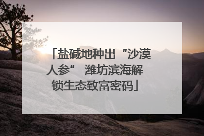 盐碱地种出“沙漠人参” 潍坊滨海解锁生态致富密码