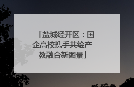 盐城经开区：国企高校携手共绘产教融合新图景
