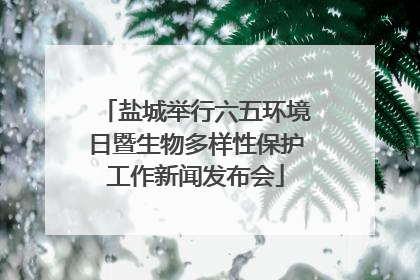 盐城举行六五环境日暨生物多样性保护工作新闻发布会
