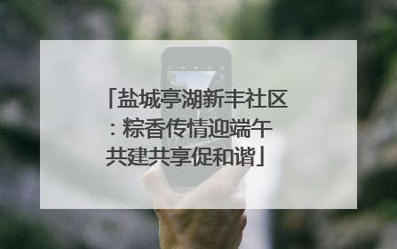 盐城亭湖新丰社区：粽香传情迎端午 共建共享促和谐