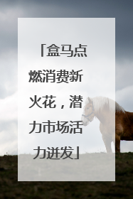 盒马点燃消费新火花，潜力市场活力迸发