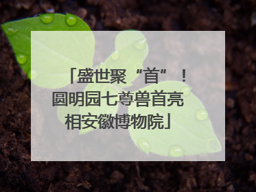 盛世聚“首”！圆明园七尊兽首亮相安徽博物院