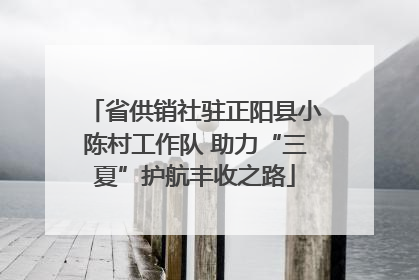 省供销社驻正阳县小陈村工作队 助力“三夏”护航丰收之路
