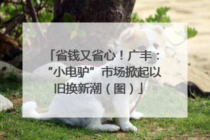省钱又省心！广丰：“小电驴”市场掀起以旧换新潮（图）