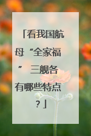 看我国航母“全家福” 三舰各有哪些特点？