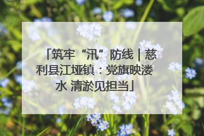 筑牢“汛”防线｜慈利县江垭镇：党旗映溇水 清淤见担当