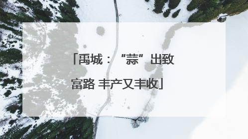 禹城：“蒜”出致富路 丰产又丰收