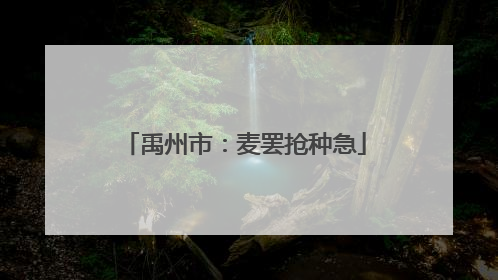 禹州市：麦罢抢种急