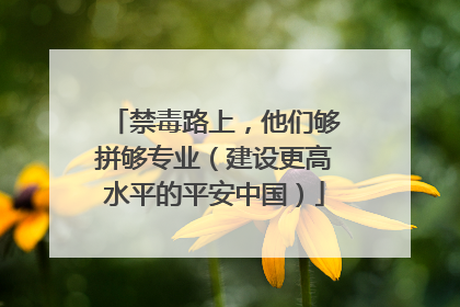 禁毒路上，他们够拼够专业（建设更高水平的平安中国）