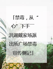 禁毒，从“心”下手――洪湖戴家场派出所广场禁毒宣传侧记