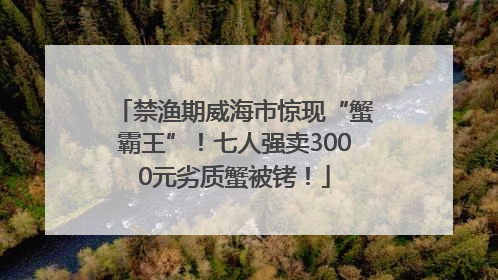 禁渔期威海市惊现“蟹霸王”！七人强卖3000元劣质蟹被铐！