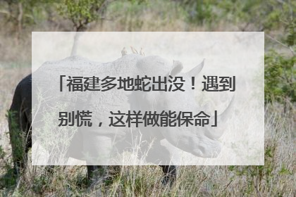 福建多地蛇出没！遇到别慌，这样做能保命
