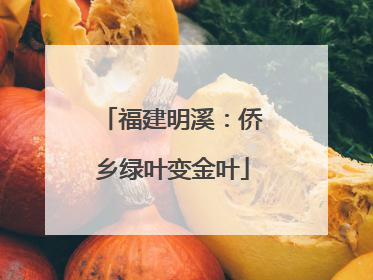 福建明溪：侨乡绿叶变金叶