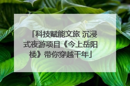 科技赋能文旅 沉浸式夜游项目《今上岳阳楼》带你穿越千年