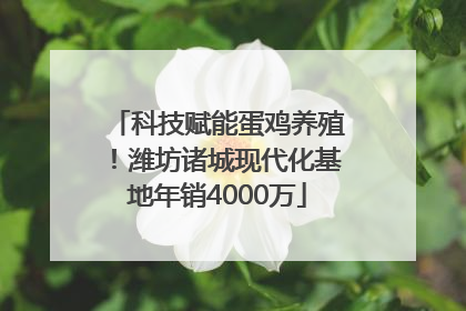 科技赋能蛋鸡养殖！潍坊诸城现代化基地年销4000万
