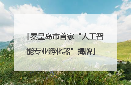 秦皇岛市首家“人工智能专业孵化器”揭牌