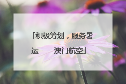 积极筹划，服务暑运——澳门航空