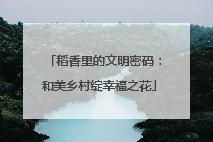 稻香里的文明密码：和美乡村绽幸福之花