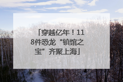 穿越亿年！118件恐龙“镇馆之宝”齐聚上海
